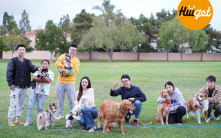🧡HiiiGet First Doggo Party! 🐶🎉
