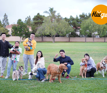 🧡HiiiGet First Doggo Party! 🐶🎉