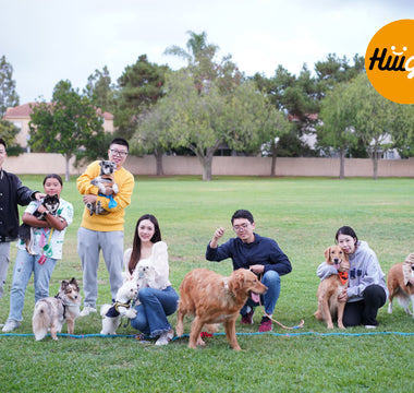 🧡HiiiGet First Doggo Party! 🐶🎉