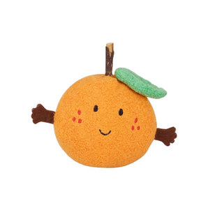 Juicy Orange Cat Toy