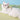 I-Shaped Anti-breakaway Cat & Dog Leash