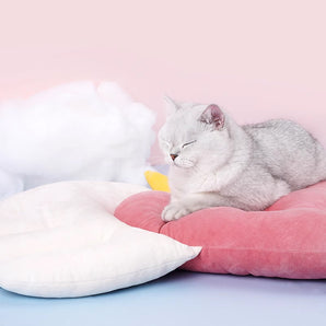 Angel Wings Pink Heart Cat Bed