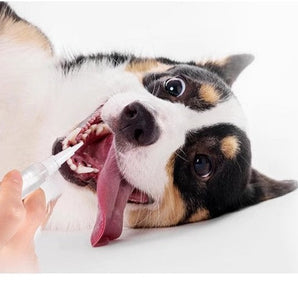 Kojima Dog Teeth Cleaning Kit