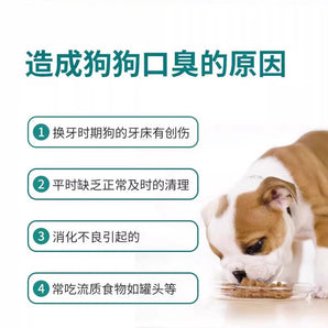 KOJIMA- Milk Flavor Dog Lactobacillus Mouthwash&Teeth Cleaner-300ml