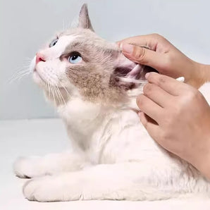 HiiiGet Disposable Pointed Pet Ear Cleaning Cotton Swab 36pc