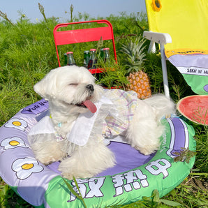 Pet Summer Ice Bed