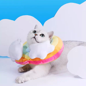 Rainbow Shaped Elizabeth Collar Cone Collar