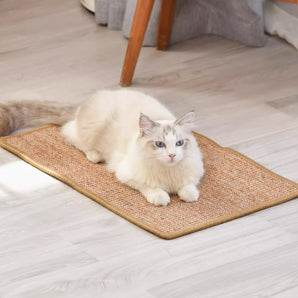 Floor And Wall Vertical Pet Scratcher Mat