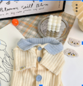 Cream Baby Blue Pet Knitted Cardigan