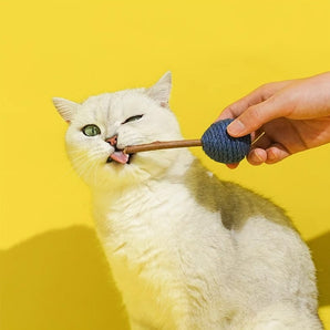 Lollipop Polygonum Matatabi Cat Toy